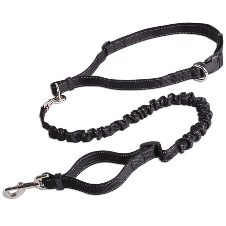Hands Free Dog Leash